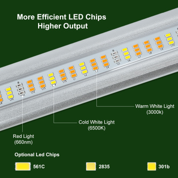 EE.UU. Stock LED Cultive Lights para entrega rápida