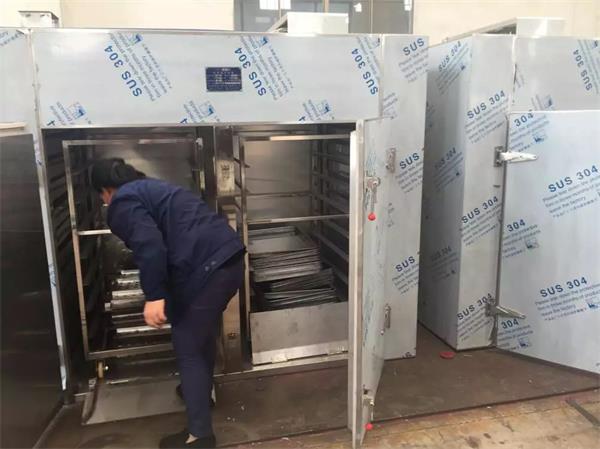 Standard Pharmaceutical Drying Oven for Traditional Medicine