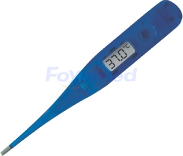 Digital Thermometers