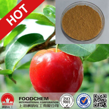 Natural Acerola Cherry Extract Vitamin C