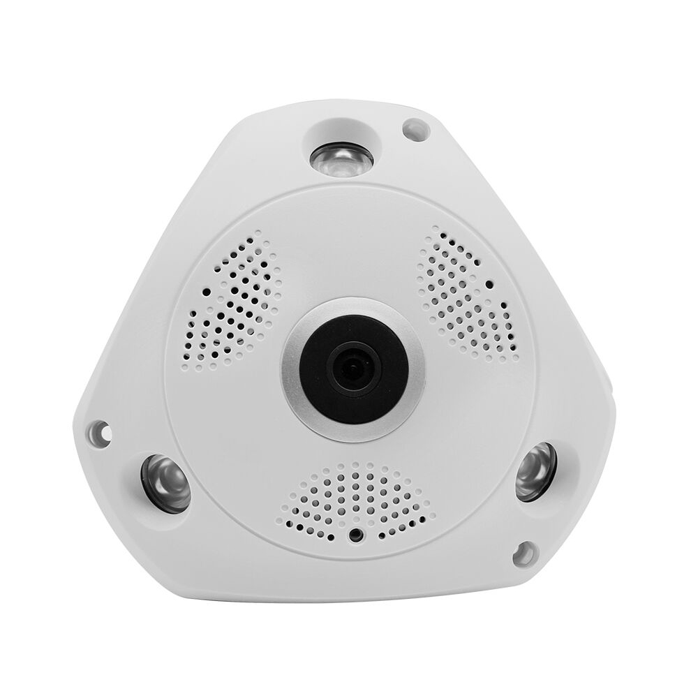 balık gözü IP kamera fisheye IP camera