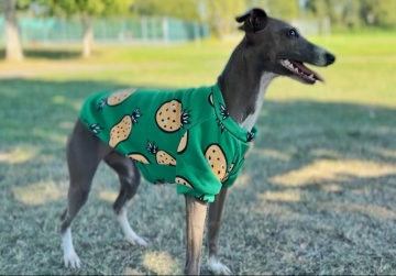 Cute Warm Puppy Sweater