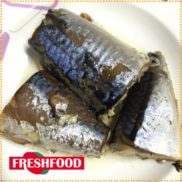 Canned food factory fresh ingredient mackerel fish in brine