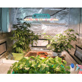 Full-spectrum 1000 Watt LED-groeilicht voor planten