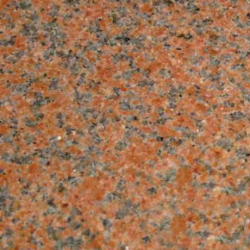 Tian Shan Red/Maple Red Granite Tile Slabs for Coutertop Flooring Wall