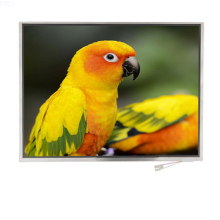 12.1 Inch TFT LCD 1024x768 Resolution LVDS Interface