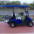 carrello del carrello di golf / carrello elettrico di golf elettrico poco costoso