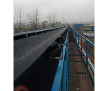Self D&R Large Inclination Bulk Material Conveyor