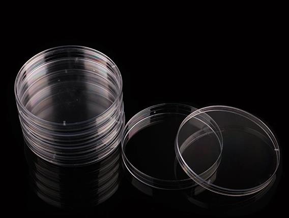 Plastic Petri Dishes