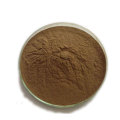 organic echinacea extract powder Bulk