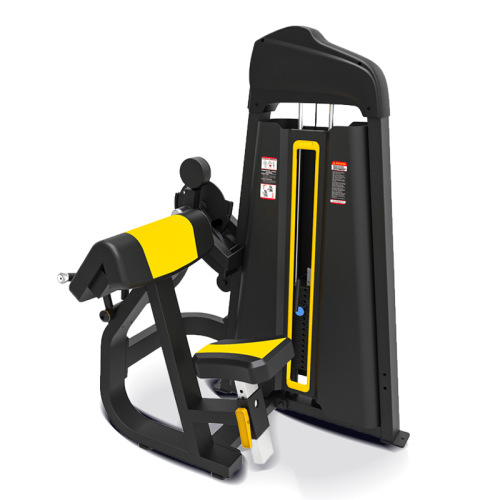 Biceps curl &amp;Triceps extension Machine