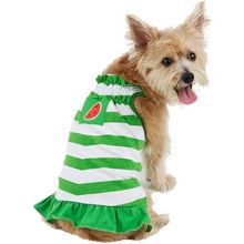 Blue and white striped dog clothes