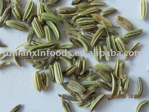 fennel seeds