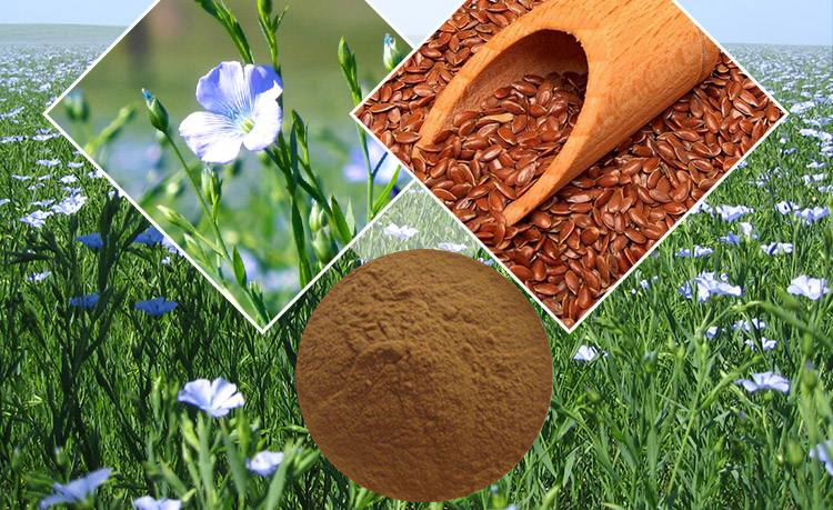 Flaxseed Extract Powder