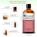 Aceite esencial de spikenard de vapor 100% puro y natural para la atención médica