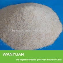 Export hot garlic grain