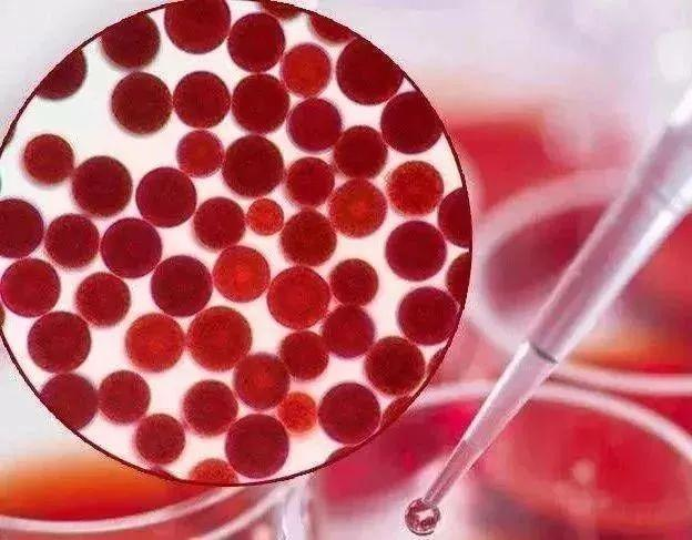 مستخلص بلوفياليس Haematococcus 2٪ Beadlets HPLC