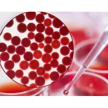 Extrait d&#39;Haematococcus Pluvialis 2% Billes HPLC