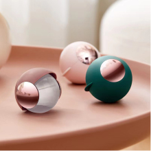 Washable Reusable Lint Roller for Pet Hair