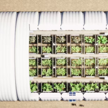 Double Layered Industrial Agricultural Warehouse Building