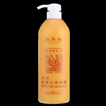 hair shampoo organic shampoo bio hair product ginger treatment