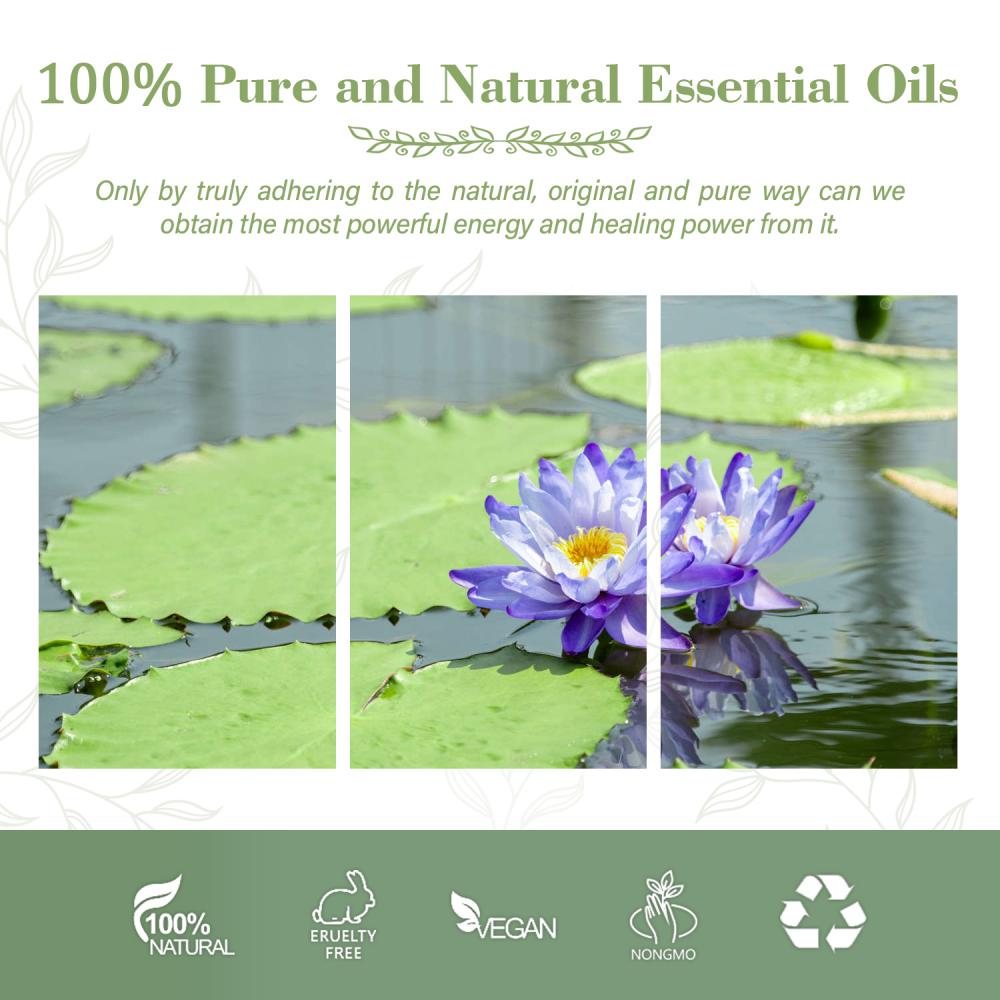 100% Pure Natural High Quality Blue Lotus Oil For whitening