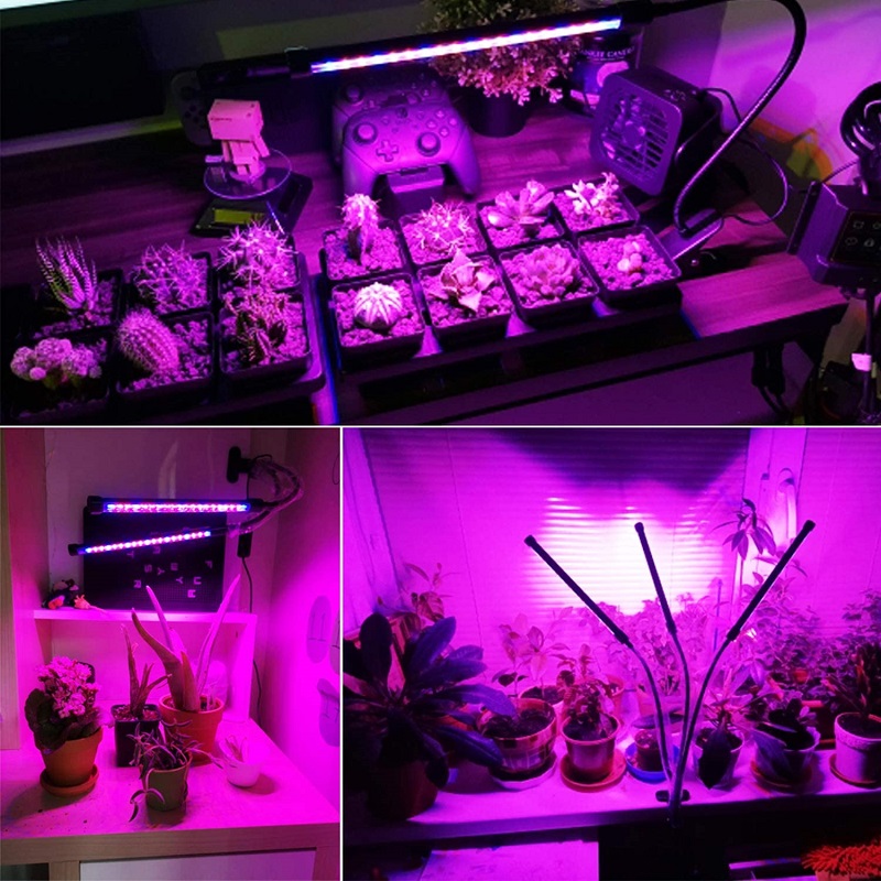 led grow light