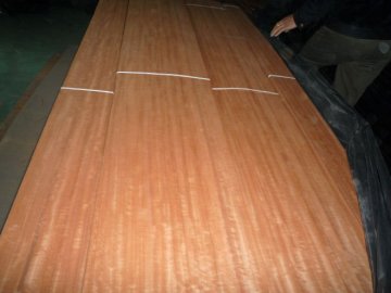 Sapele/sapeli veneer