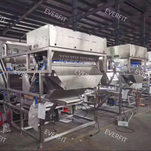 Intelligent Date Sorting Machine for High-Precision Date Palm Defect Sorting