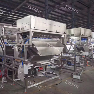 Intelligent Date Sorting Machine for High-Precision Date Palm Defect Sorting