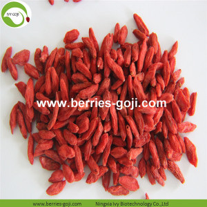 Baie de Goji de catégorie B de fruits en vrac d&#39;approvisionnement d&#39;usine