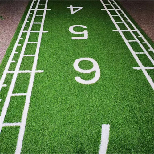 Gimnasio de buena calidad Track Track Grass Turf artificial