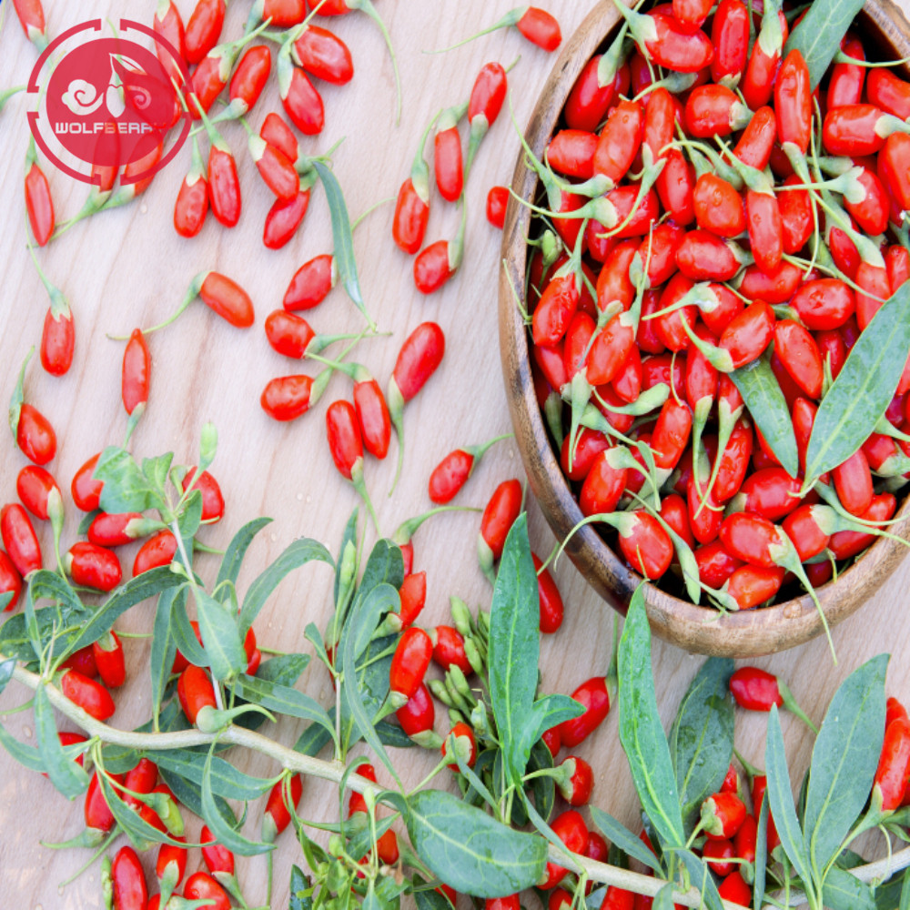 Vitamin Dinh dưỡng ít chất béo Organic goji berries