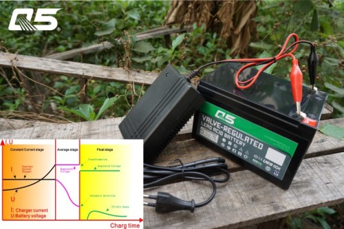 6V2A Automatic Trickle Lead acid battery Charger Storage Battery Charger