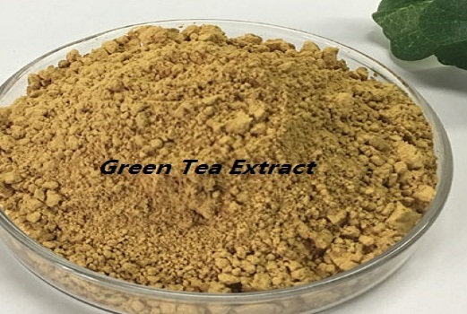 Green Tea Extract2 Green Tea Extract2