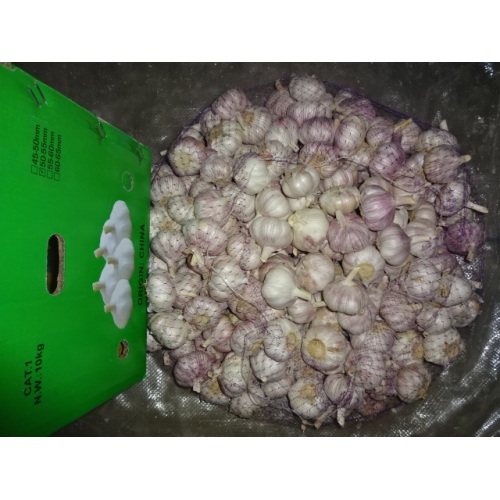 wie man frischen Knoblauch 2019 lagert