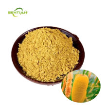 Natural Raw Material Puhuang Extract