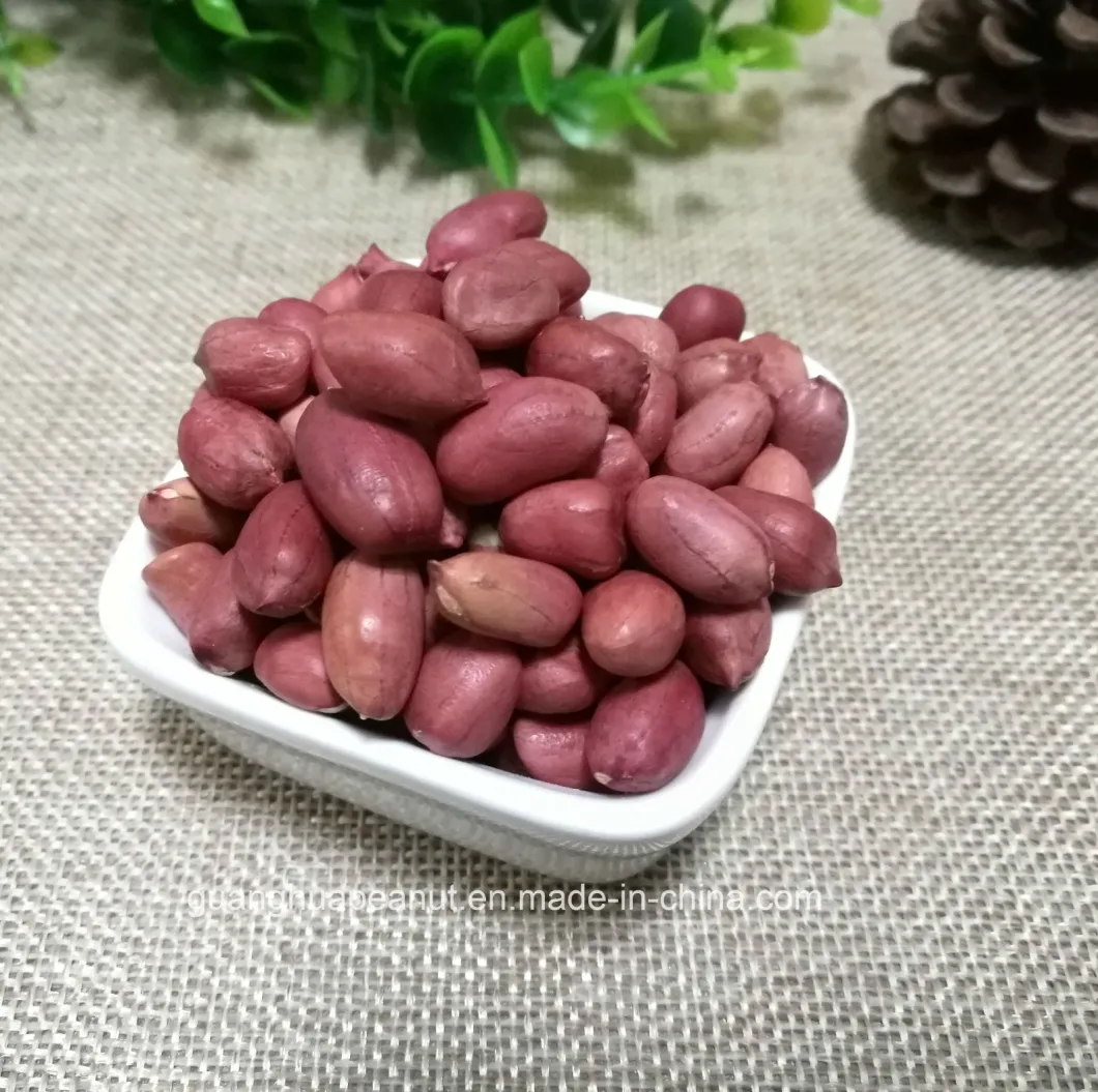 Hot Sale New Crop Red Skin Peanut Kernels 50/60 60/70