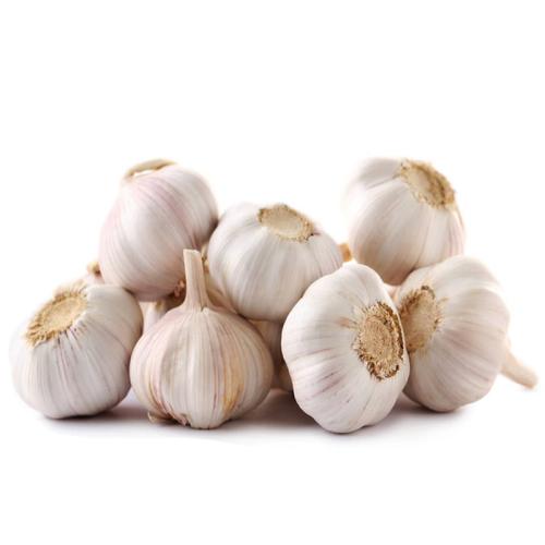 normaler weißer Knoblauch normal white garlic