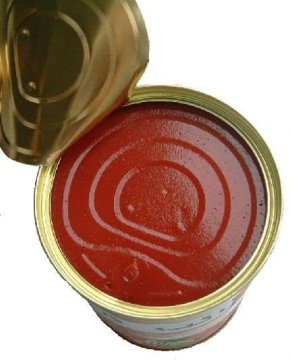 70-4500g canned tomato paste in tins factory making for the world