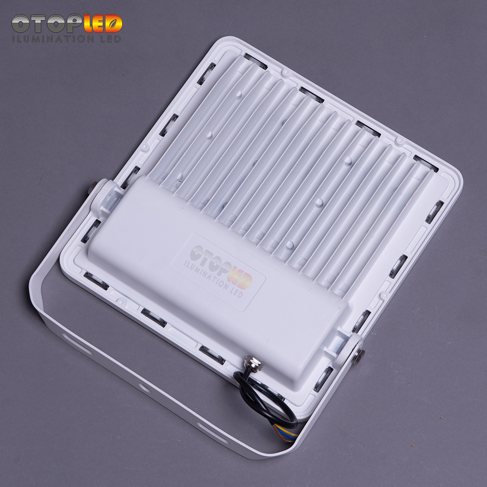 100W Outdoor Lighting fixture