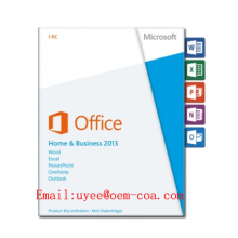 MS Office 2013 Home and Business OEM Key
