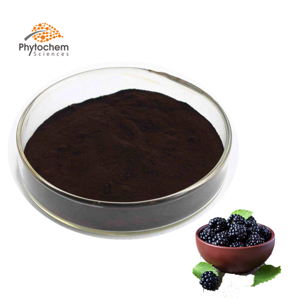 Wholesale High quality Mulberry fruit juice extract powder