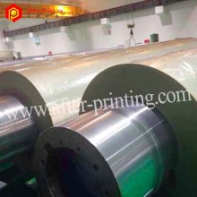 Price Offer Transparent PET Heat Sealing Film for Packaging