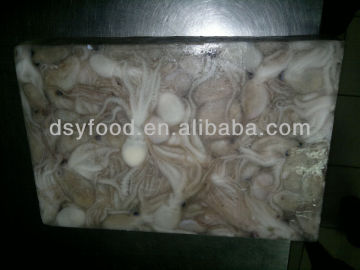 Baby Octopus Fish Clean