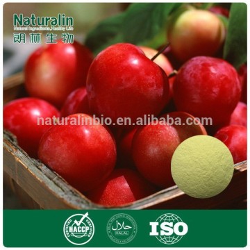 100% Natural Apple extract/Apple Juice Powder