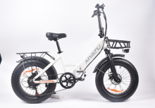 Whosale Factory price folding fat tire electirc bike