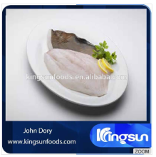 Fresh Frozen John Dory Fillet