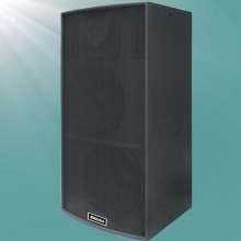 Dual 15" Wedding Stage Professional Speaker