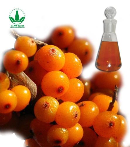 High Quality Sea Buckthorn Fruit Oil with Good Price